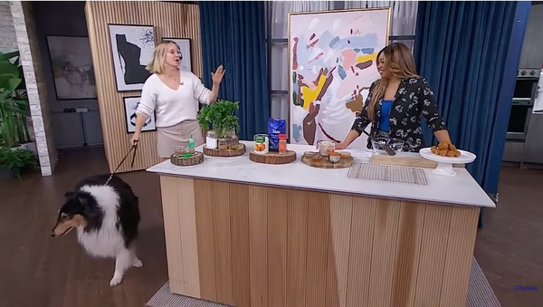 3 Homemade Pet Food Recipes for Bone and Gut Health with Cityline